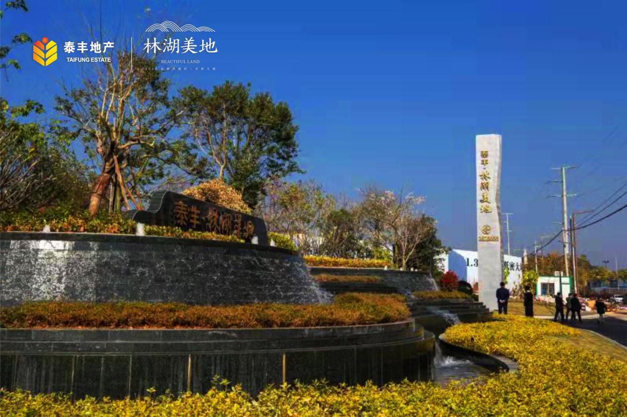 12.25-2-20.jpg 12.25-2-20.jpg